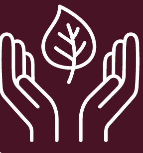 Sustainability